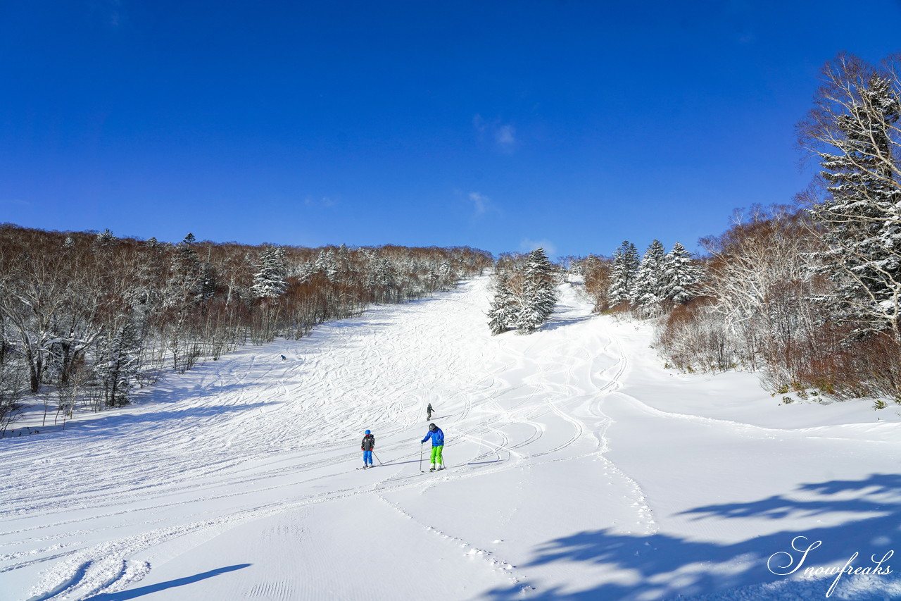 サッポロテイネ　これが北海道の冬。気温-11℃、澄んだ青空の下、パウダースノーが舞う天空のゲレンデ！